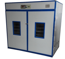 AI-2640: Best Popular Solar Powered Incubators for Premature Babies for Sale