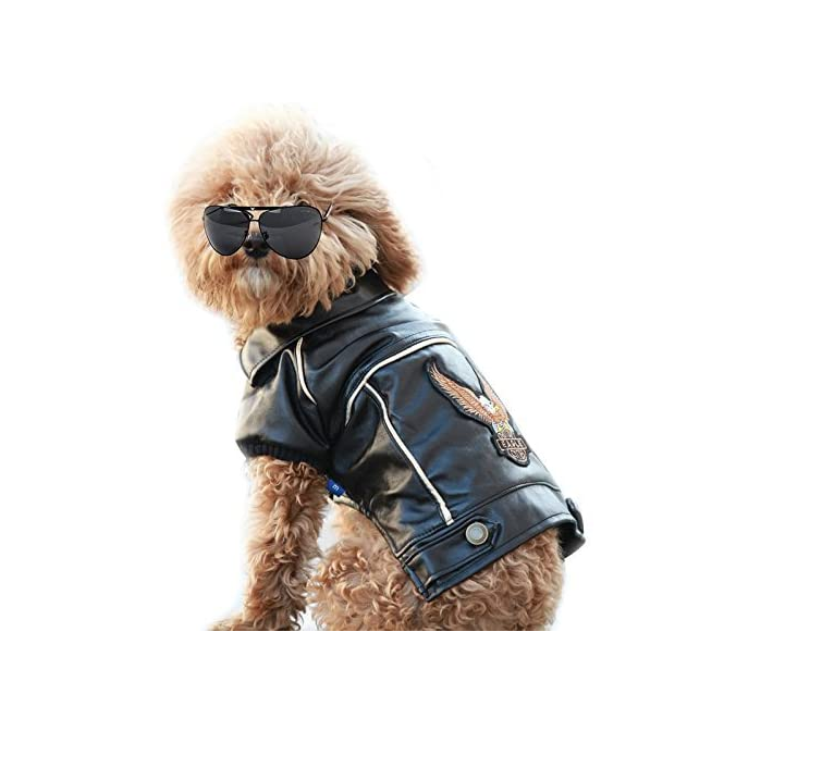 Dog Winter Coat Pu Leather