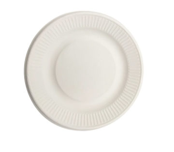 compartment lunch tray sugarcane bagasse pulp plates