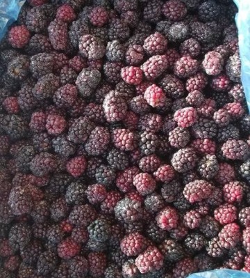 frozen foods frozen fruits frozen blackberry