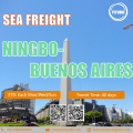 Internationale Seefrachtlogistik von Ningbo bis Buenos Aires Argentinien