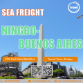 Logística internacional de frete marítimo de Ningbo a Buenos Aires Argentina