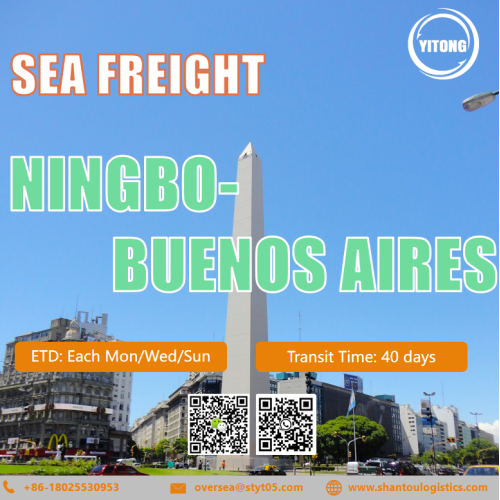 Logística internacional de flete de mar desde Ningbo a Buenos Aires Argentina