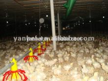Pan Feeding System for Broiler