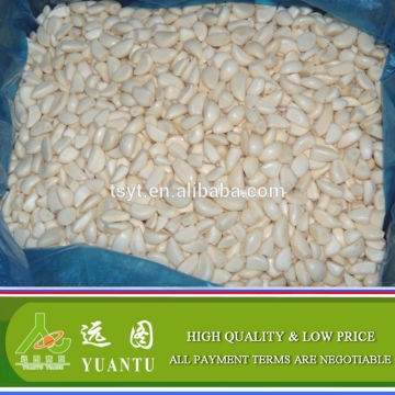 IQF Frozen Peeled Garlic Cloves From China Exporters