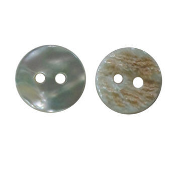 Abalone shell button