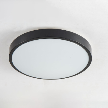 Waterproof ceiling mounted light
