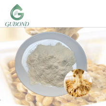 Polyglutamic Acid Powder for Dietary Supplement Industry