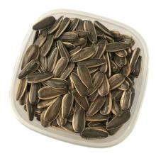 Common Sunflower Seeds Type 361 For Sale