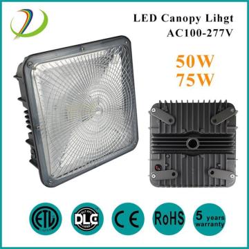 50W Outdoor Canopy Parking lot Lights