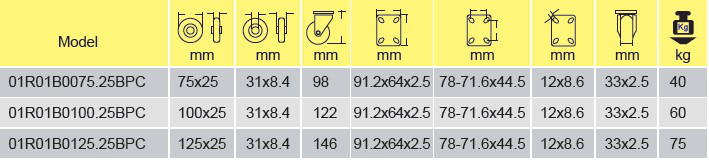 Parameters of 01R01B0075.25BPC 