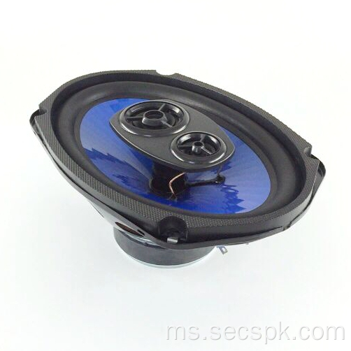 6x9 &quot;Coil 25 Speaker sepaksi