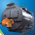 8 Ton WNS Oil Fired Steam Duct