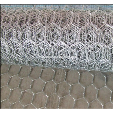 Galvanized Hexagonal Wire Netting