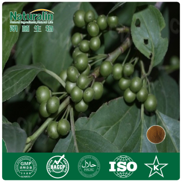 Cascara Sagrada Powder Extracts, Herb Extract