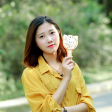 Portable Handle Battery Operated Mini USB Fox Fan