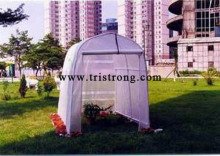 Greenhouse, Hothouse, Garden Shed (TSU-162G)