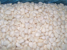 IQF Frozen Garlic Cloves