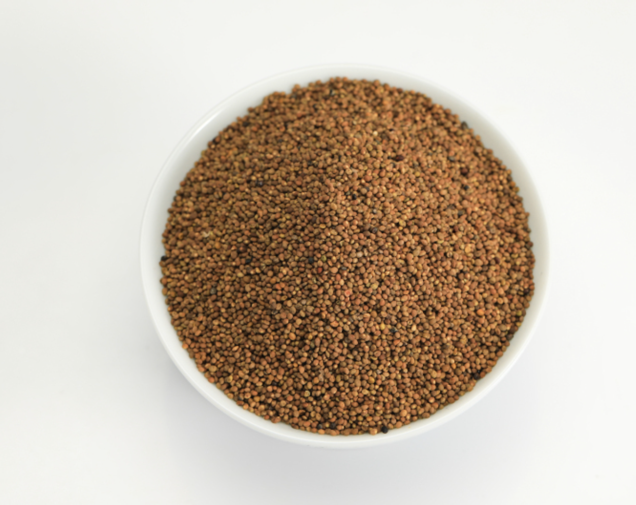 مستخلص بذور الحامول Dodder Seed Extract