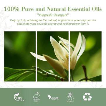Aceite esencial de Champaca al por mayor para aceite natural 100% puro