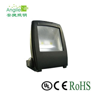 LED Floodlight