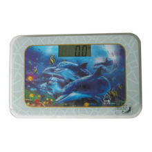 3D photo electronic bathroom scale