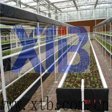 Greenhouse for Flower Cultivation