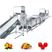 XYXC-C11 Vegetable processing equipment automatic washing machine