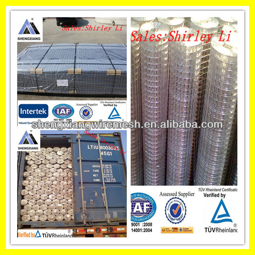 Galvanized Welded wire mesh welded rabbit cage wire mesh