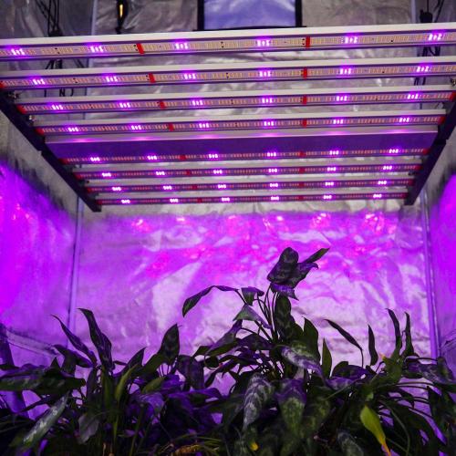 730nm UV LED Crece la luz para la planta médica