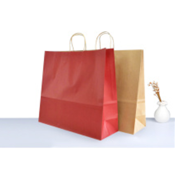 top selling Carrying Paper Bag