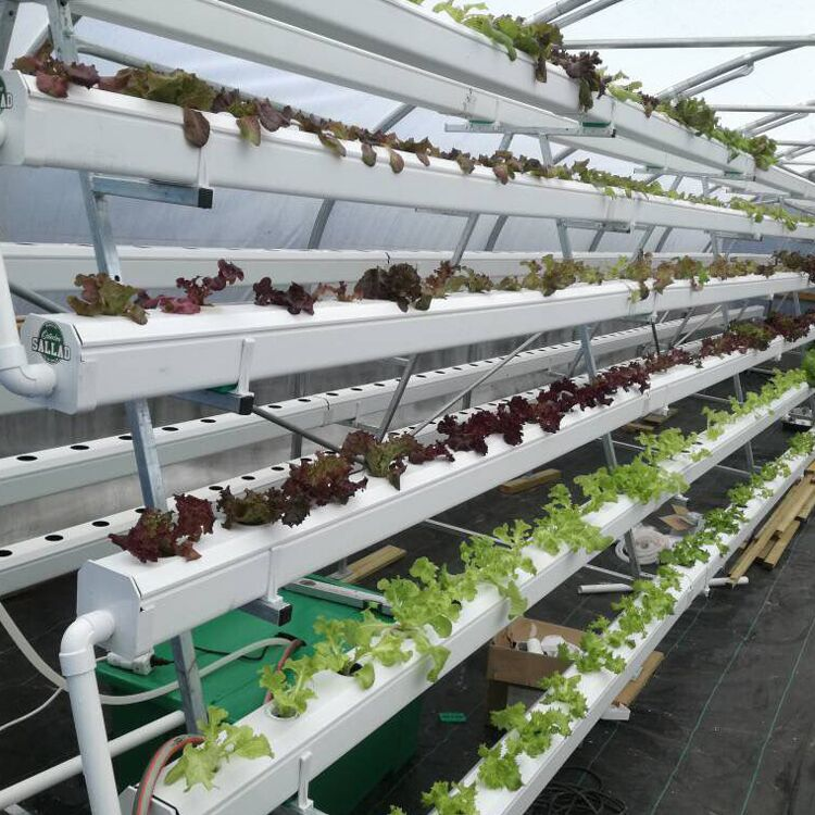 Skyplant PVC الجوف قناة لنظام الزراعة المائية
