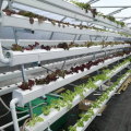 Skyplant PVC Hollow Channel voor Hydroponic-systeem