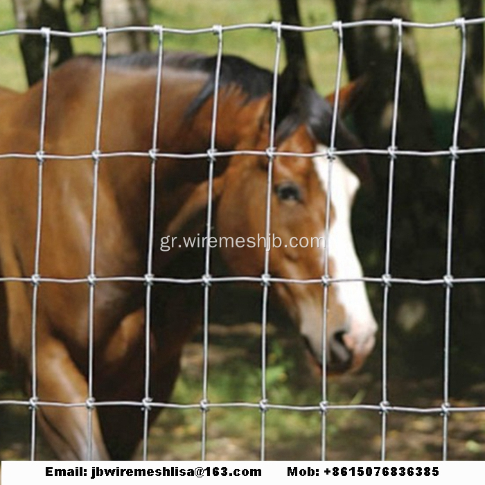 Γαλβανισμένο φράχτη δικτύων Kraal / Φράχτης πεδίου