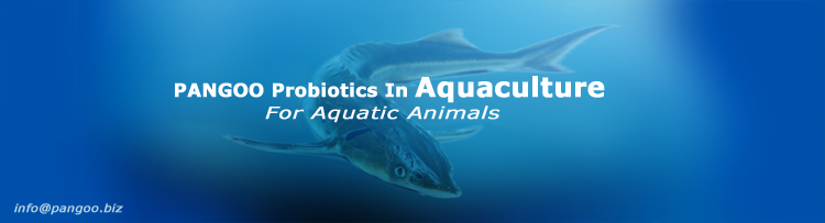 Aquaculture Probiotics