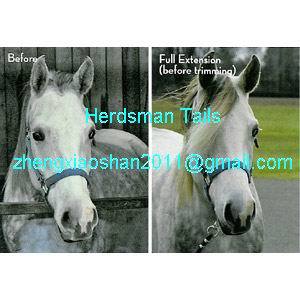 Horse forelock extensions for hot selling