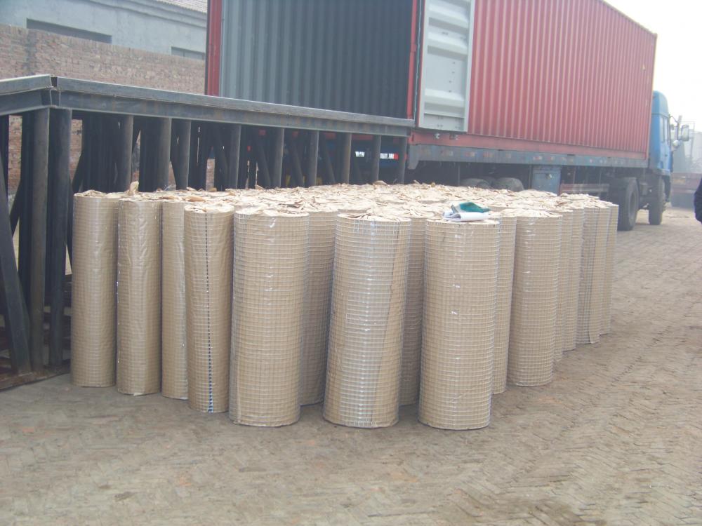 Welded wire mesh Factory Direct Sale