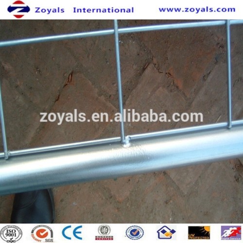 Hog Wire Fence Panels