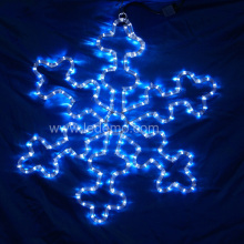 LED Motif Light, LED Snow Light (LDM-SNOW-50CM)
