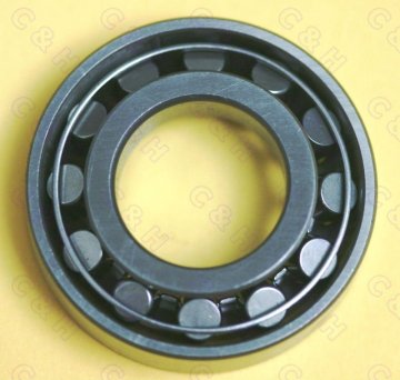 Steering bearings - 509043
