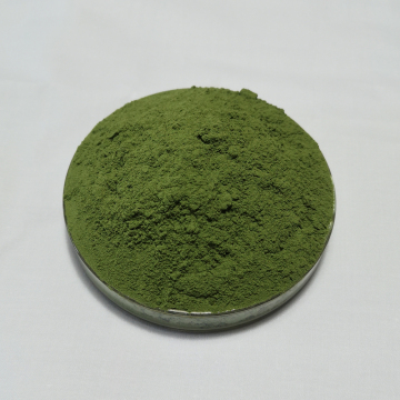 barley grass juice extract powder