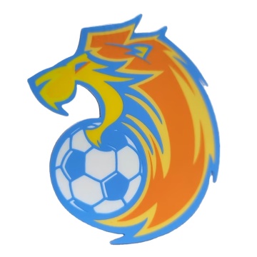 Custom Iron-on Patches with Logo for T-Shirts