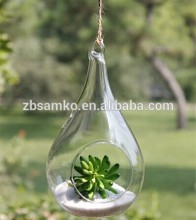 Hanging teardrop shaped glass terrarium