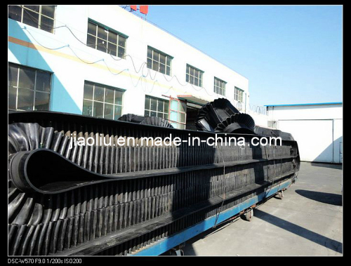 Corrugated Sidewall Conveyor Belt System (Sidewall - cleats002)