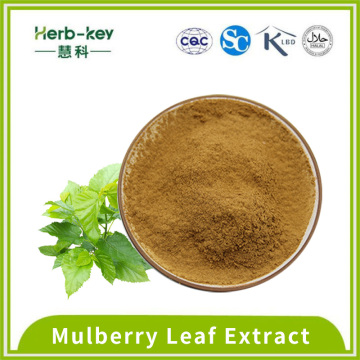 High content flavonoid extract of mulberry leaf