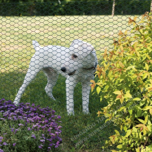 Plastic Coated Hexagonal Wire Mesh