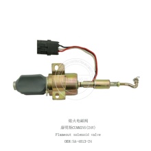 4VBE34RW3 24V FlameOut الملف اللولبي صمام SA-4813-24