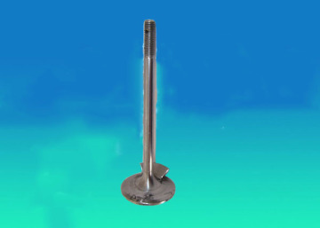 Truck Engine Valve Spare Parts with Nitriding