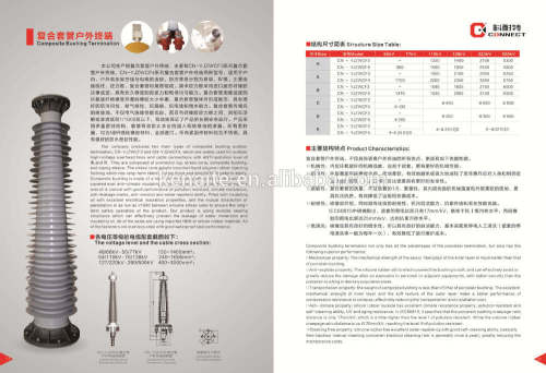 77kV Composite Bushing Outdoor Termination