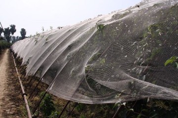 prevent hail damage HDPE mesh net